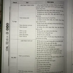 Tử vi đẩu số kinh điển - Phan Tử Ngư 703530