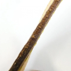 Túi xách vai Louis Vuitton Monogram Croissant MM M51512 - Hàng hiệu Chính hãng 802239