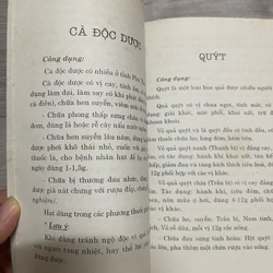 Chữa Bệnh bằng cay lá quanh ta 334743