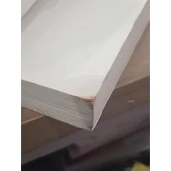 The Fall of Five - Pittacus Lore