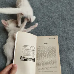 DƯỜNG NHƯ TA KHÔNG CÒN BÉ NỮA - THU TRÂN 567798