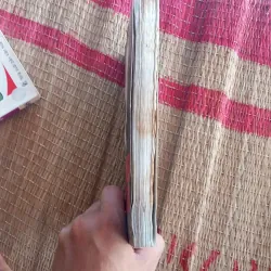 Alexander Hamiton 1029927