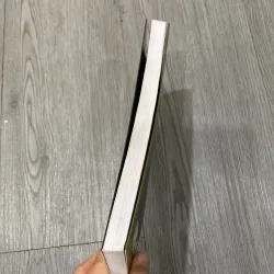 Cô bé phù thuỷ 1021609