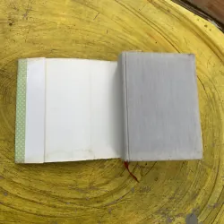 TỪ ĐIỂN TIẾNG VIỆT - VIỆN NGÔN NGỮ HỌC 799943