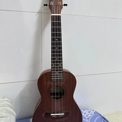Đàn Ukulele Gỗ chính hãng size concert basic 494139