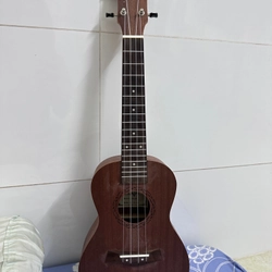 Đàn Ukulele Gỗ chính hãng size concert basic 494139