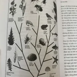 150 NĂM THUYẾT TIẾN HÓA VÀ CHARLES DARWIN (TẬP 2) 1020638