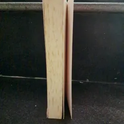 Dictionary of English down the ages 1011430