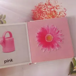 Baby's First Colours 961424