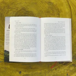 VƯƠN TỚI MẶT TRỜI - nguyễn thị thạch thảo 1002473