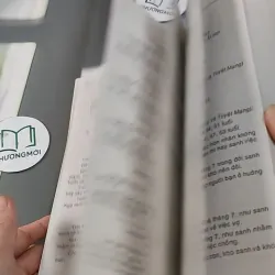 Căn Duyên Tiền Định 727287