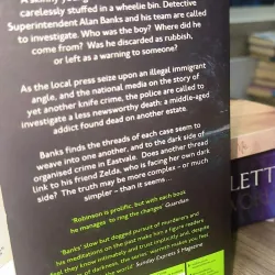 Many Rivers to Cross (Detective Superintendent Alan Banks) by Peter Robinson 795617