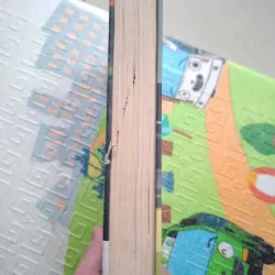 Nick Vujicic - Cuộc sống không giới hạn 749545