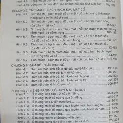 GIẢI PHẪU ĐẦU MẶT CO 752816