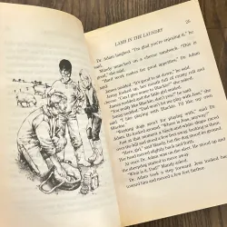 ✨𝑳𝒂𝒎𝒃 𝒊𝒏 𝒕𝒉𝒆 𝑳𝒂𝒖𝒏𝒅𝒓𝒚✨ 689619