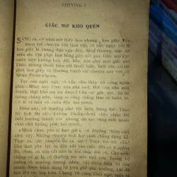 Chuỗi hạt hổ phách - Ni-cô-lai Pô-gô-đin 974478