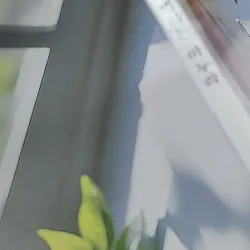 [Tặng nẹp góc] Truyện thiếu nhi Hàn Quốc: Moyamo Anu 52 -  모야모 아누와: 잘 떠벌리는 마누라 732055