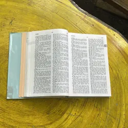 TỪ ĐIỂN VIỆT ANH- VIETNAMESE- ENGLISH DICTIONARY 594714