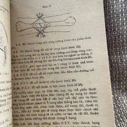 Phương pháp gây tê - GS Trương Công Trung  1025097