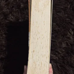 Gia đình Budden Brook 997967