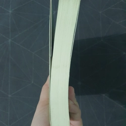 "Kinh niên lưu ảnh" - Như Thị Phi Nghênh 470406