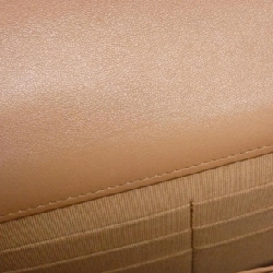 Chanel Chanel 19 Dòng AP3267 Ví dây chuyền 622742