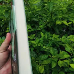 Đen, trắng và ánh nắng tiểu thuyết của Nam Quảng Tử 995298