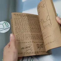 Những Truyện Tích Đầu Tiên Trong Kinh Thánh - Hội Thánh Tin Lành 775990