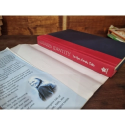 MISTAKEN IDENTITY : Two Families, One Survivor, Unwavering Hope - Don & Susie Van Ryn 146575