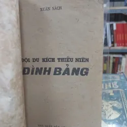 ĐỘI DU KÍCH THIẾU NIÊN - ĐÌNH BẢNG 1002116