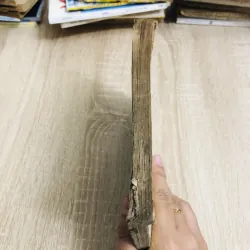 NHỮNG KỲ LẠ TRONG THẾ GIỚI SINH VẬT 928999