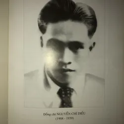 Tiểu sử Nguyễn Chí Diểu 698981