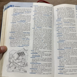 Từ điển Anh Việt 545694