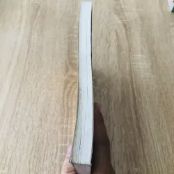 BẢN ĐỒ TƯ DUY TRONG CÔNG VIỆC  1004854