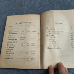 MEN ĐÁ VÀNG - HOÀNG CẦM 701915