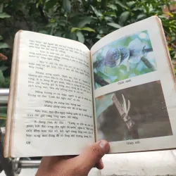 Kỹ Thuật Trồng Và Ghép Mai - Huỳnh Văn Thới 928913