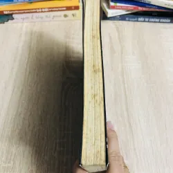 CHIẾN THẮNG CON QUỶ BÊN TRONG BẠN 1007232