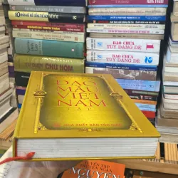 ĐẠO MẪU VIỆT NAM, TẬP 2, bản bìa cứng (xb 2009) 1032158