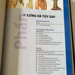 ALAS GIẢI PHẪU NGƯỜI 6 455852
