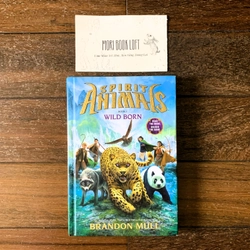 Sách ngoại văn Wild Born (Spirit Animals, Book 1), Used, Bìa cứng