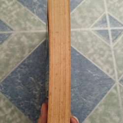 Nỗi xót thương nguy hiểm - Stefan Zweig 510056