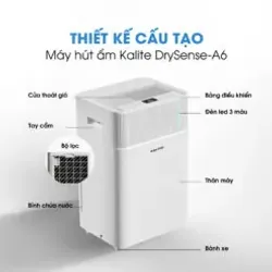 💧 Máy hút ẩm Kalite DrySense-A6 – Hút ẩm mạnh – chống mốc cực nhanh – bảo vệ sức khỏe 🌿 696687