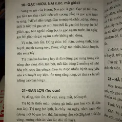 Mẹo vặt - Thuốc hay - Như Hoa 762735