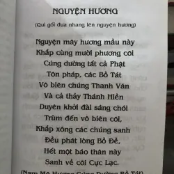 Phật thuyết đại thừa vô lượng thọ trang nghiêm thanh tịnh bình đẳng giác kinh  1009767