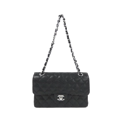 Túi đeo vai Chanel 1113