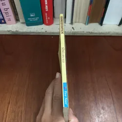 II Sách Phật Giáo: Sống An Vui - KHANGSER RINPOCHE - 2017 631138