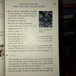 Phương pháp trồng 100 loài hoa trong chậu - Lưu Chí Tùng 785795