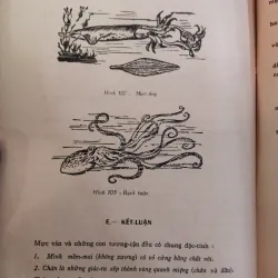VẠN VẬT HỌC - NGUYỄN LẬP THỎA, LÊ DUY NGHIỆP 997629