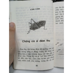 Côn Trùng – Chuyện Kể Khoa Học Cho Học Sinh Tiểu Học 549654