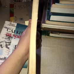 Một số vấn đề sử dụng ngôn từ trên báo chí 970617